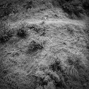 Foto von Animal Poem (PRE-ORDER! v:29.08.)