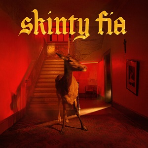 Cover von Skinty Fia