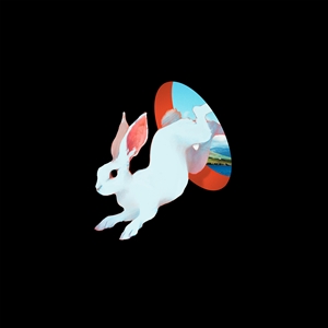 Foto von Animal Hospital (Future Blue Vinyl)