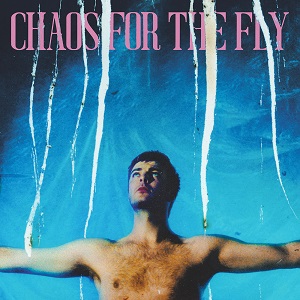Cover von Chaos For The Fly