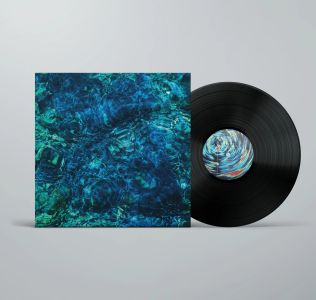 Foto von Luminescent Creatures