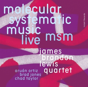 Foto von MSM-Molecular Systematic Music Live