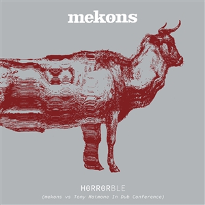 Foto von Horrorble (Mekons vs Tony Maimone in Dub Conference)