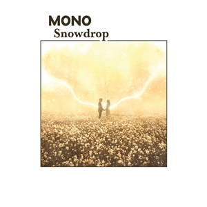 Foto von Snowdrop