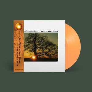 Foto von Sunset Tree (lim.ed. Orange Vinyl)
