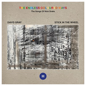 Cover von DAVID GRAY / STICK IN THE WHEEL - The Endless Coloured Ways: The Songs Of Nick D