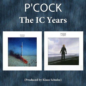 Cover von The IC Years: The Prophet & Incognito