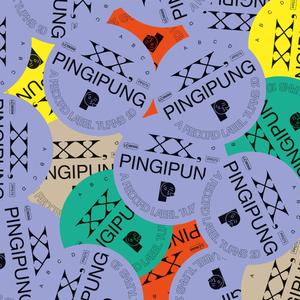 Foto von XX, PINGIPUNG. A Record Label Turns 20