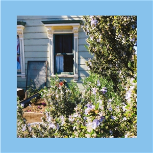 Foto von Anxiety Art (lim.ed. Pastel Blue Vinyl)