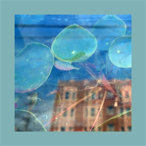 Foto von Acknowledge Kindness (PRE-ORDER! v�:24.04.)