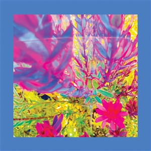 Foto von The Past Is a Garden I Never Fed (PRE-ORDER! v:04.07.)
