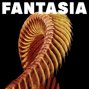 Foto von Fantasia (PRE-ORDER! v�: 05.06.)