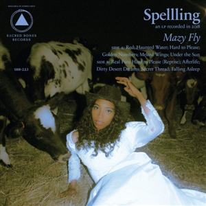 Cover von Mazy Fly