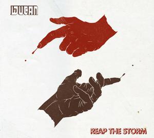 Cover von Reap The Storm (180g)