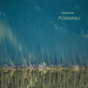 Foto von Pwawau
