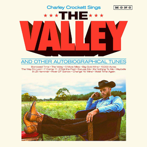 Cover von The Valley