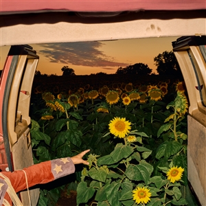 Foto von Little Wide Open