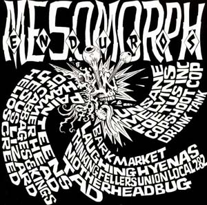 Cover von Mesomorph Enduros