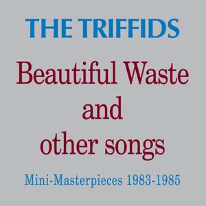 Cover von Beautiful Waste And Other Songs: Mini Masterpieces 1983-1985 (rem.)