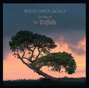 Cover von Wide Open Road: The Best Of The Triffids